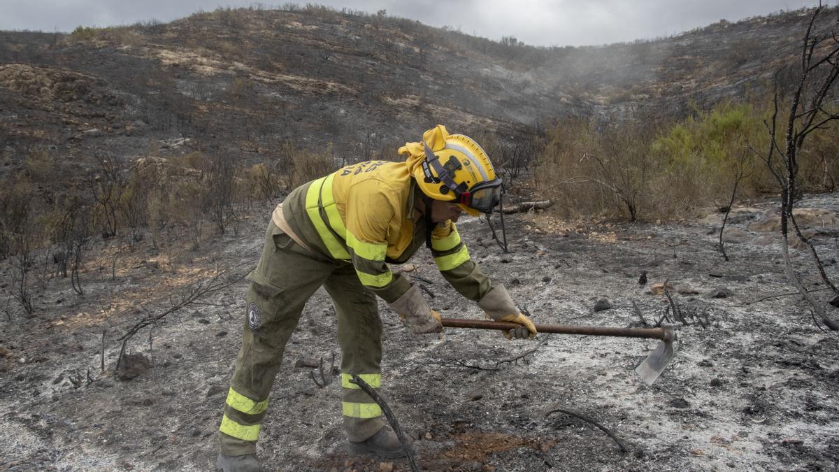 Un bombero forestal trabaja en la zona de Rafelguaraf