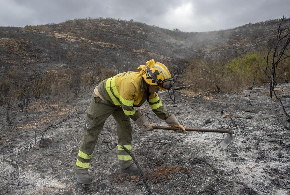 Un bombero forestal trabaja en la zona de Rafelguaraf