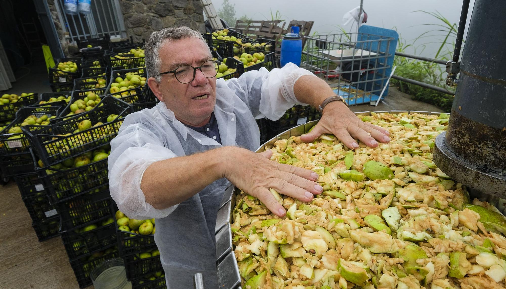 Un chubasco de manzanas