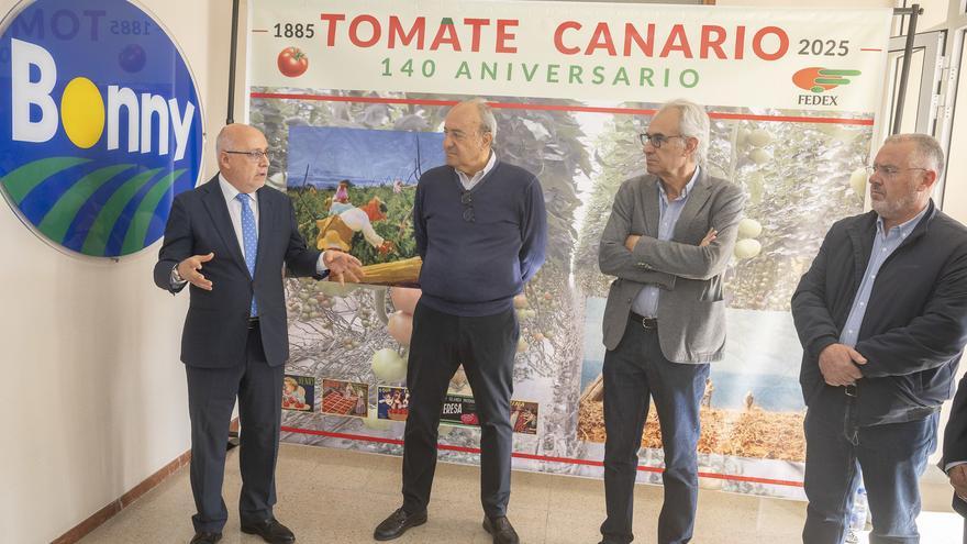 Experiencia, calidad, innovación y diversificación: Cabildo y sector trabajan juntos para garantizar el futuro del tomate canario