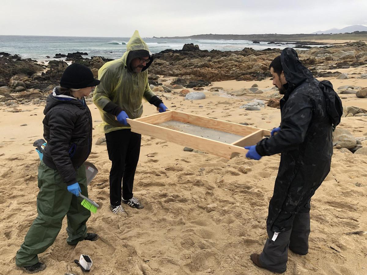 Voluntarios movilizados por Greenpeace y el Concello de Ribeira cribando pélets este sábado en Balieiros