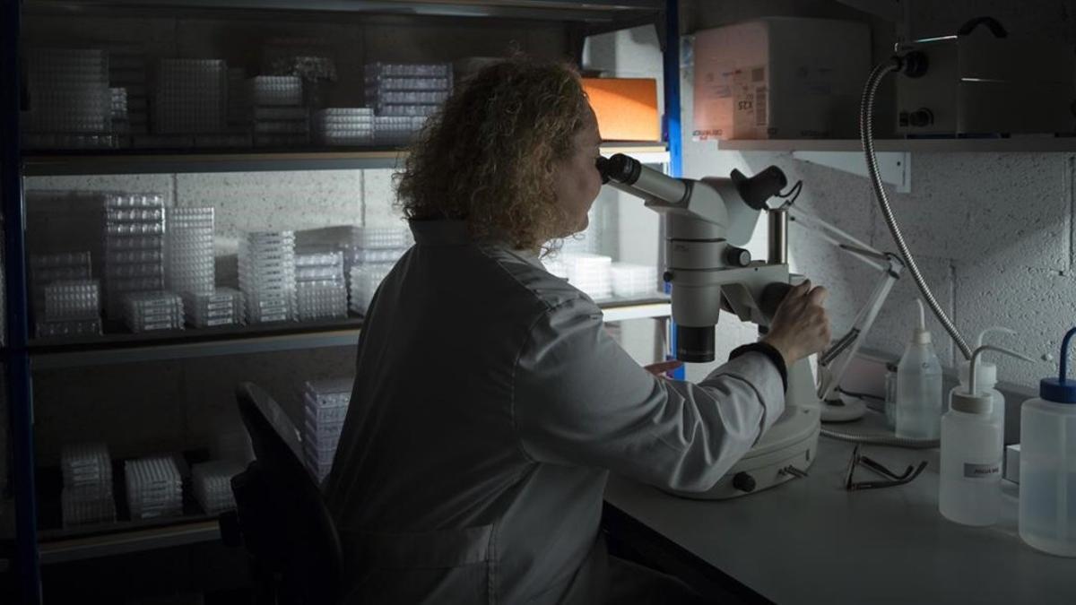 La doctora Eva Estebanez en un laboratorio.