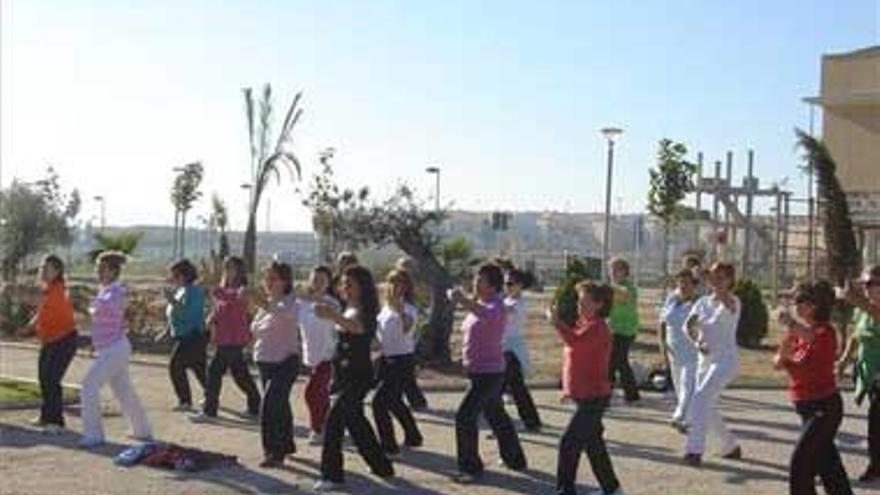 Taichí en el parque de el Rodeo