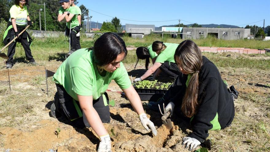 La Misión Biológica estudia las propiedades del compost urbano que se produce en Valga