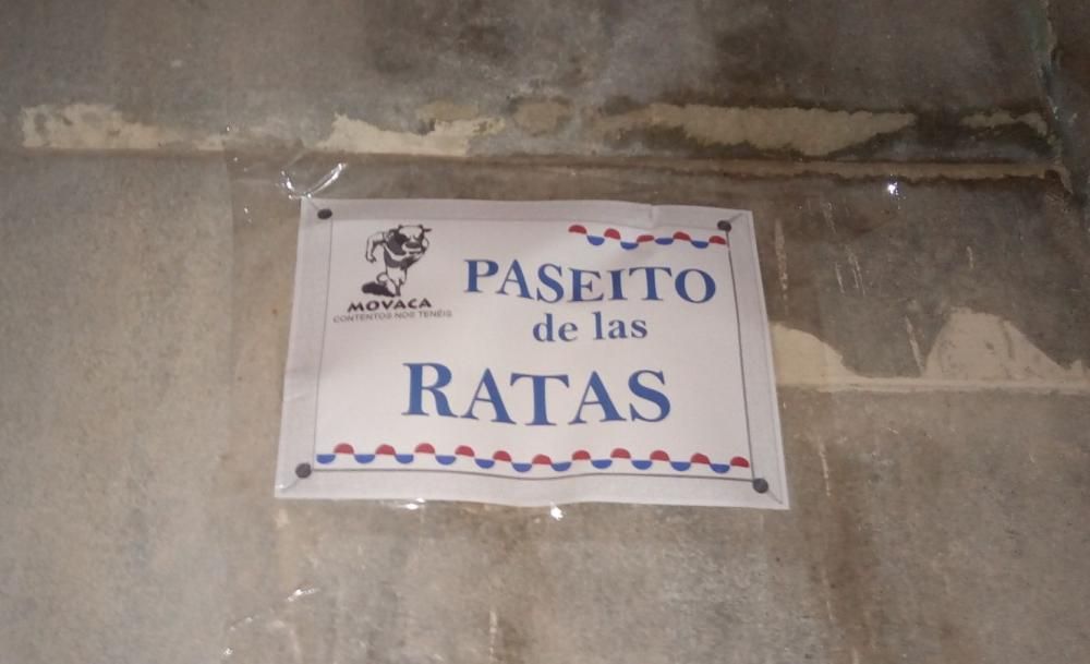 Las "nuevas calles" del Casco Antiguo de Alicante contra el botellón.