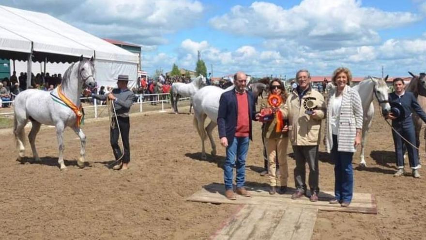 Entrega de galardones en una pasada edición de la Feria del Caballo de Albalá.