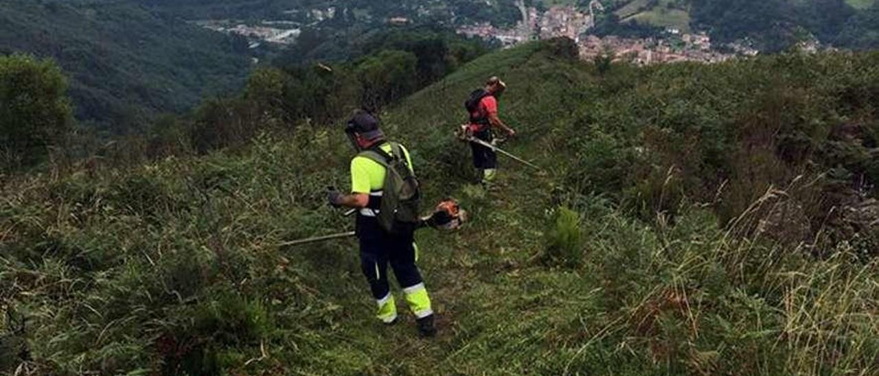 Un par de operarios, desbrozando las pistas de uno de los circuitos para bicicletas.