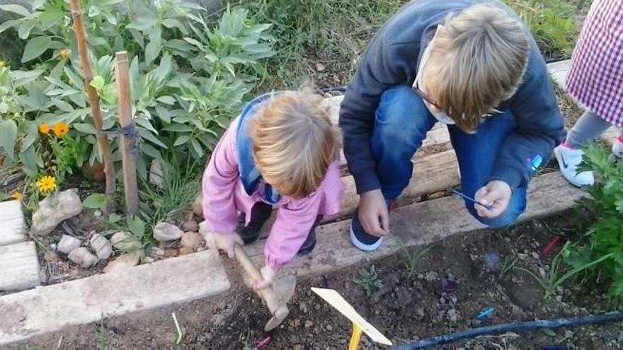 Revolución verde en el colegio Vicenta Ruso de Gran Alacant