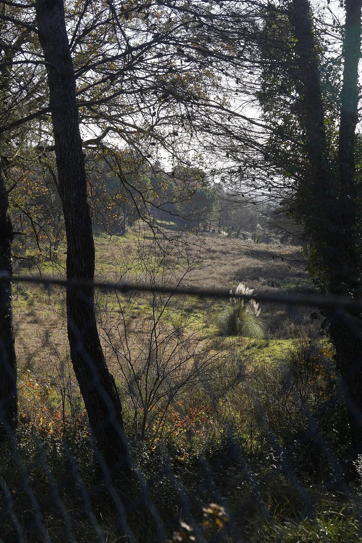 251217DDG_Marc Mart (228696826)