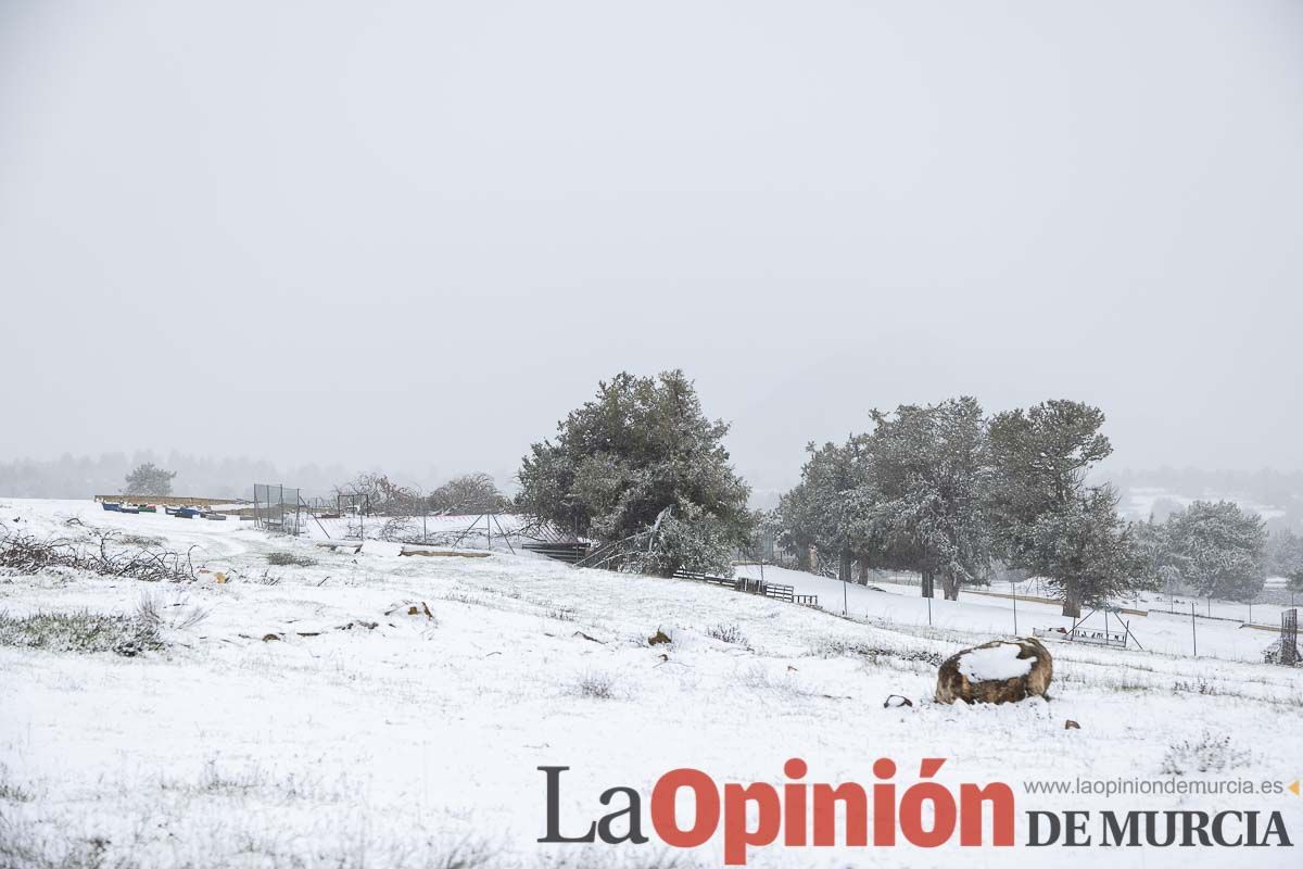 Nieve en el Noroeste