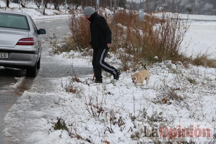 Nieve en Coy y Avilés (Lorca)