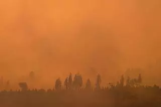 California y Canadá luchan contra incendios forestales sin control con miles de evacuados
