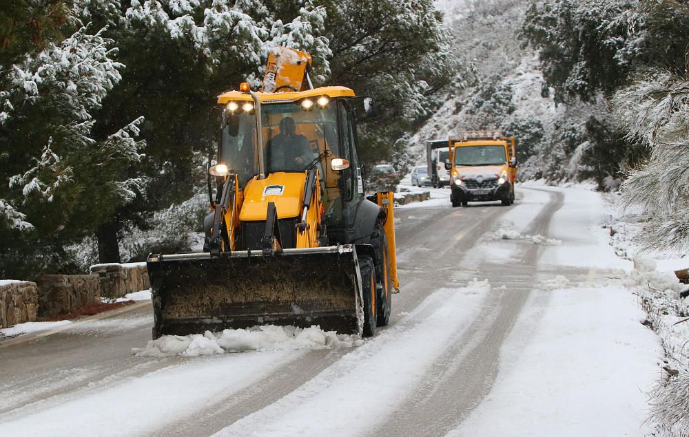 Las primeras nevadas llegan al Puerto del León, en los Montes de Málaga, que se sitúa a 900 metros de altura