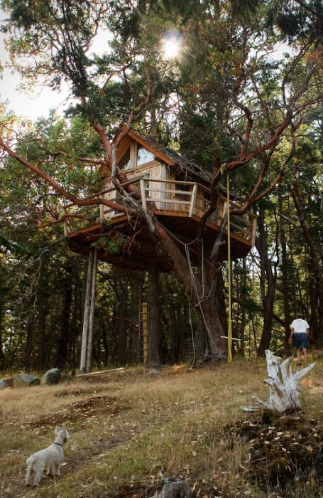 Las casas de árbol más espectaculares del mundo