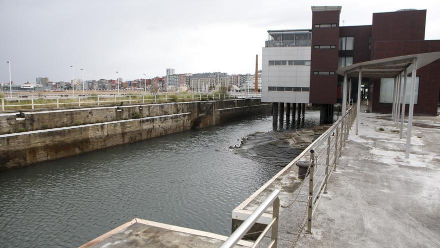 Una mujer rescata a una anciana que se precipitó al mar en la dársena del Acuario de Gijón