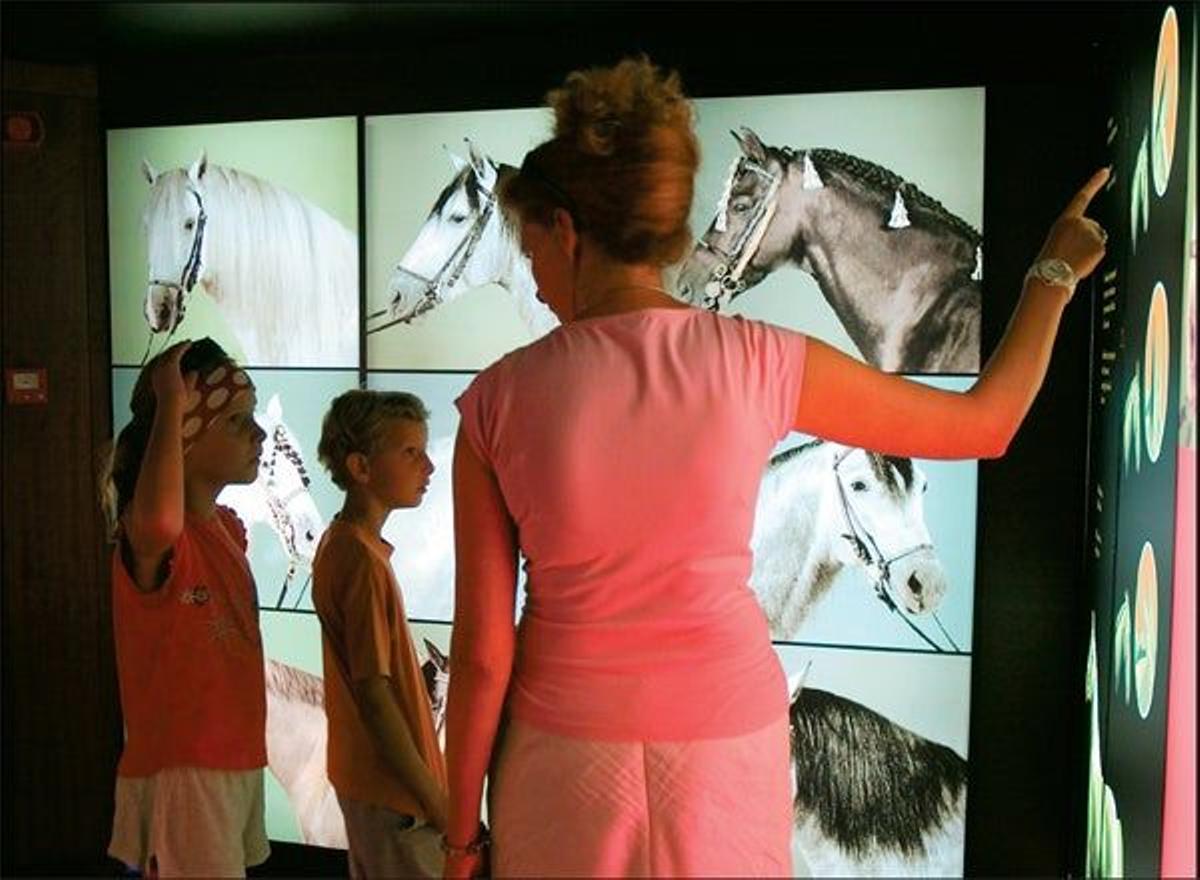 Museo de Arte
Ecuestre, una parada
obligada para los
aficionados al mundo
del caballo.