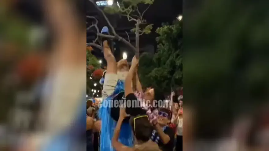 Un carnavalero con falda hawaiana cae desde un árbol en el Carnaval