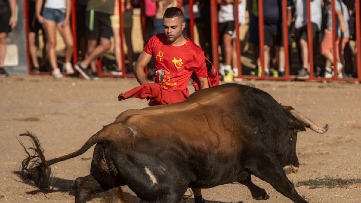 Una de las embestidas en Arcenillas. | E. F.