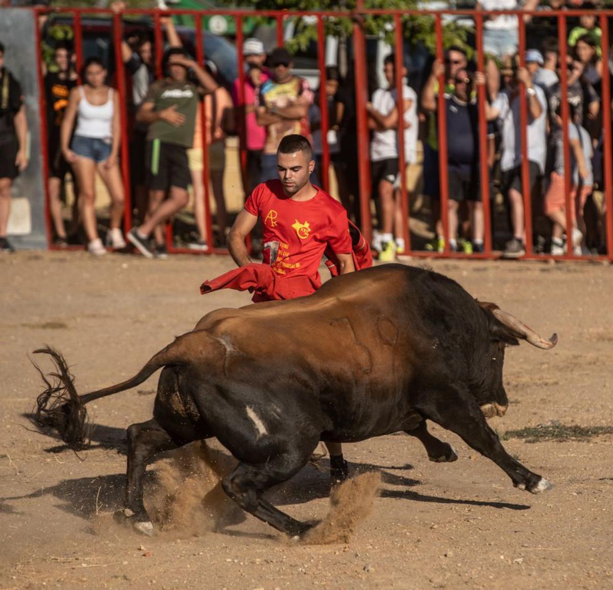 Arcenillas recupera la tradición taurina