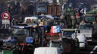 Los agricultores murcianos decidirán en febrero si se suman a las protestas de Francia
