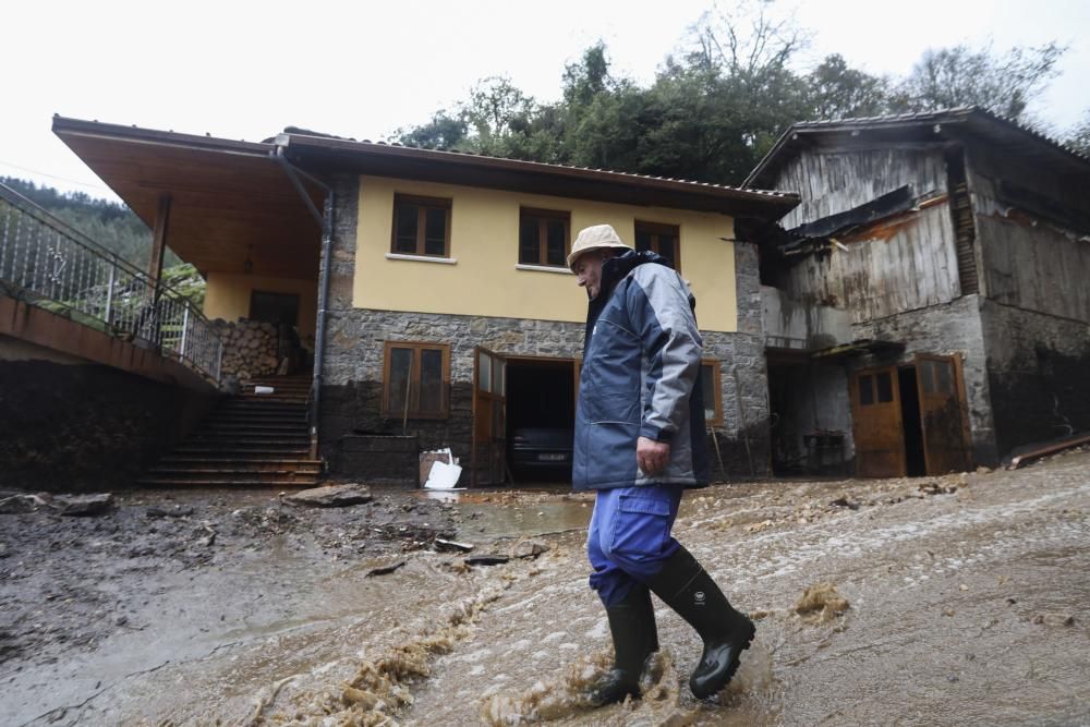 Temporal en Asturias: Un argayo sepulta una ganadería en Salas