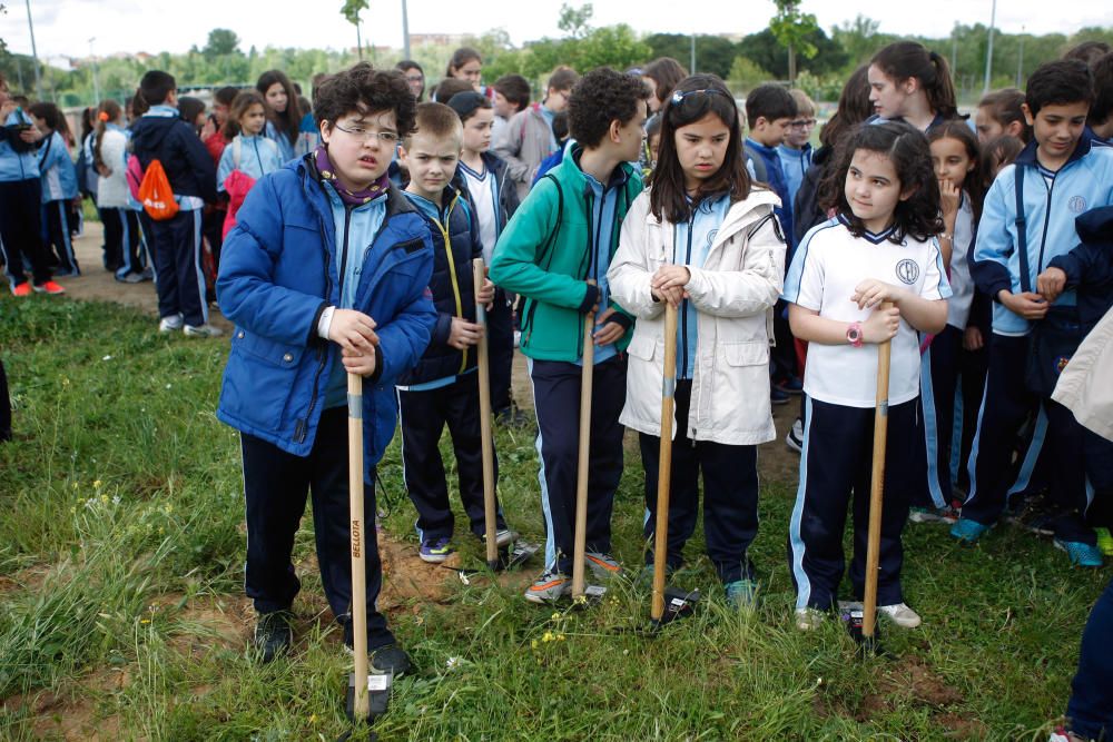 Celebración del Día Internacional de la Tierra