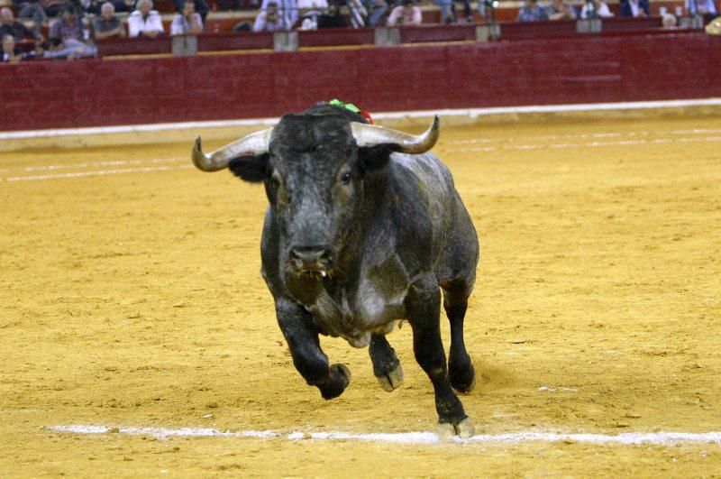 Sexta corrida de feria: Serranito, Antonio Ferrera y Miguel Ángel Perera