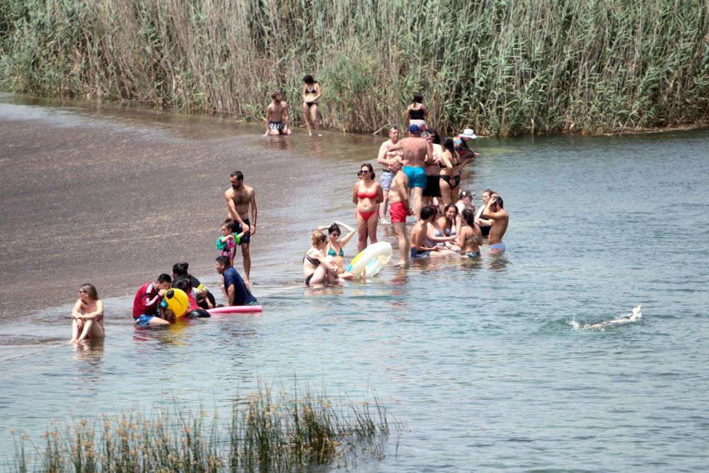 Los bañistas acuden al Assut d'Antella aunque el baño está prohibido