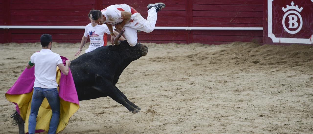 Luis Alberto ‘Palomita’, de Castrogonzalo, en la segunda cogida que sufrió durante la tarde.