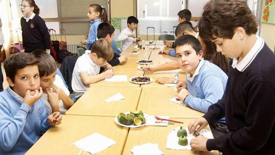 Los chavales prueban las frutas en el centro escolar. // Faro