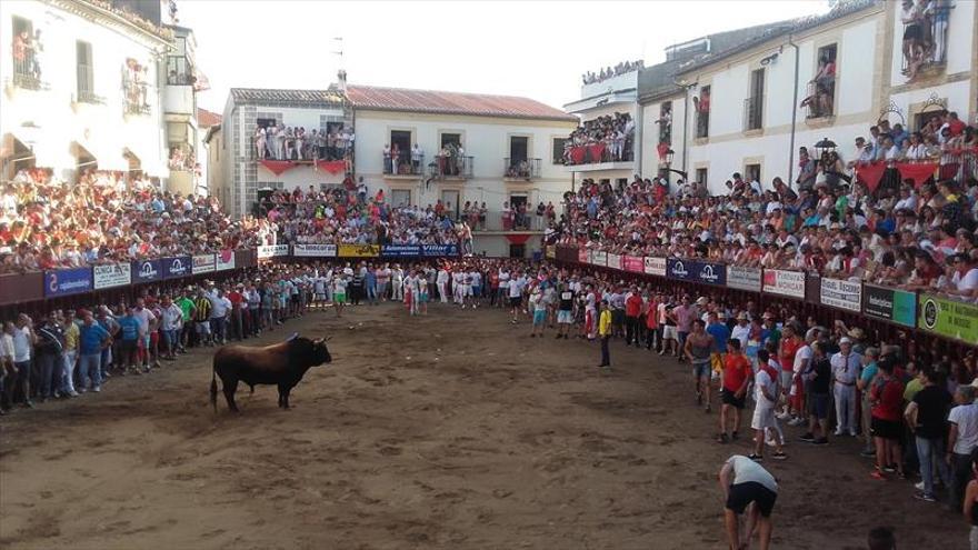 Los bares de la plaza de toros de Coria deberán cumplir varias normas en San Juan