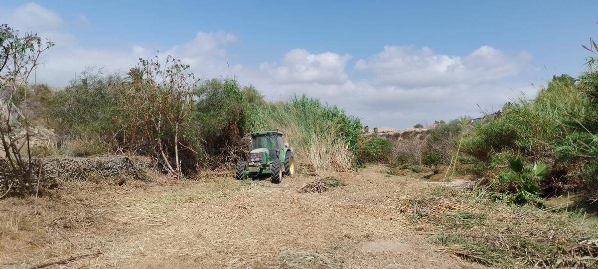 Tareas de limpieza del Barranco de las Ovejas realizadas por el Ayuntamiento de Alicante en el último mes.
