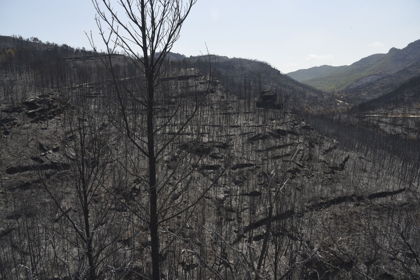 Així ha afectat el foc les tines de la Vall del Flequer