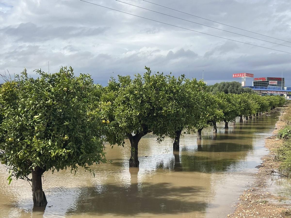 Campos de frutales anegados de agua