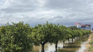 Valencia. La dana Alice deja campos y accesos anegados tras las lluvias torrenciales de estos días. Pista de Silla a la altura de Alfafar. Agua vías de servicio temporal alcantarillado cortes campos de cultivo huerta huerto VLC