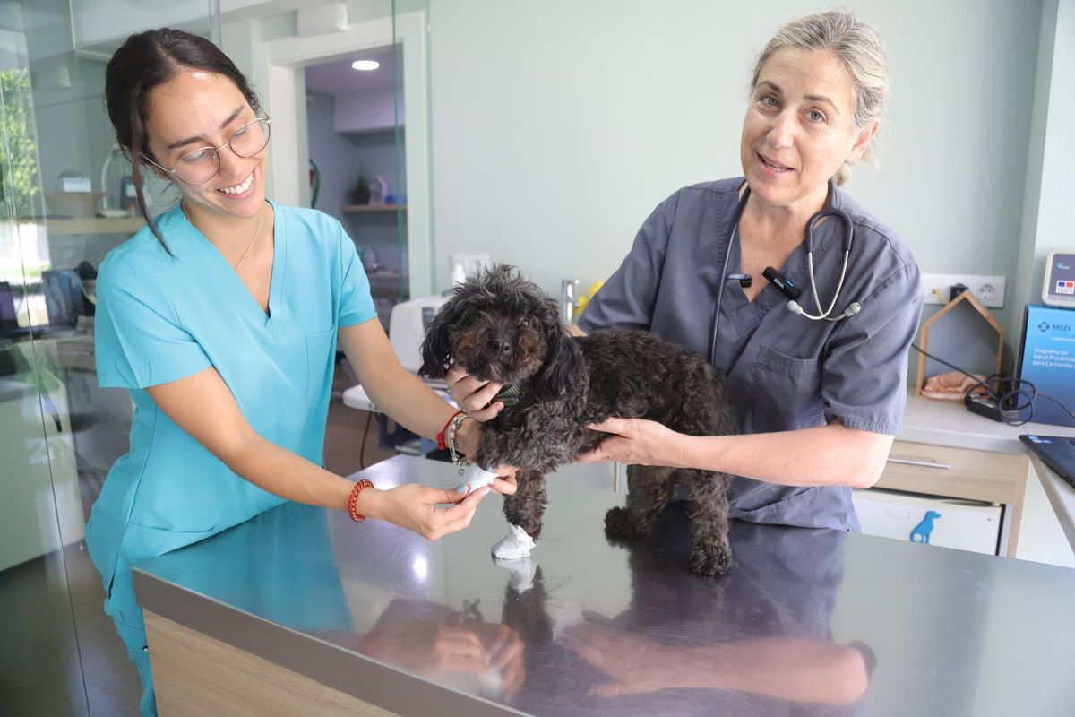 A la derecha, María José Delgado, con un perro, en su clínica veterinaria.