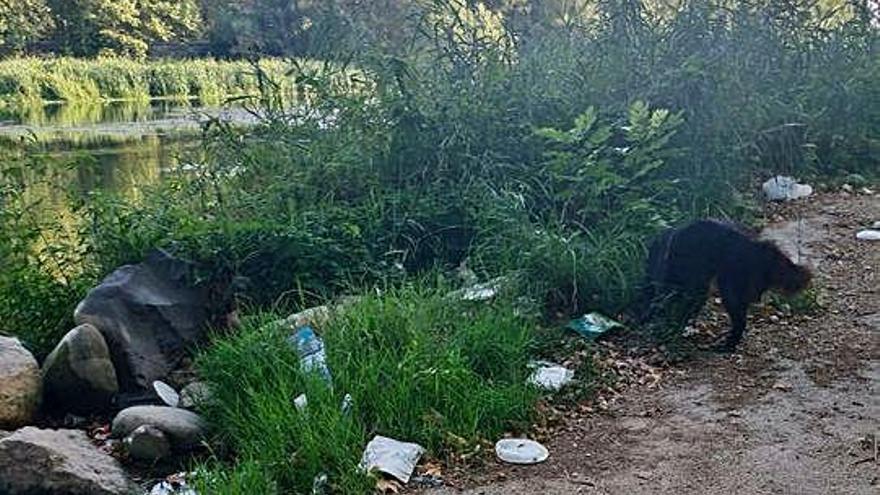 Veïns de Girona es queixen que la vora del Ter està plena d&#039;escombraries