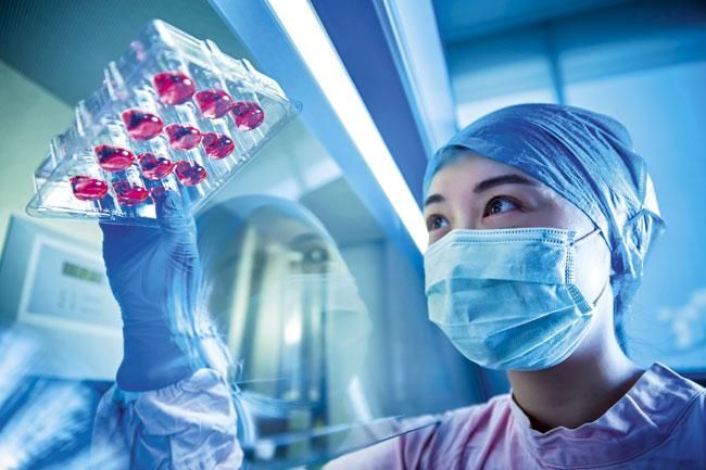 Ciencia tras una crema