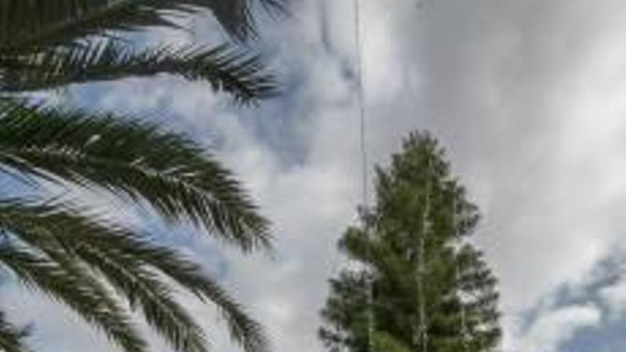 Elche potenciará las luces navideñas en la ladera y  el decorado en los barrios