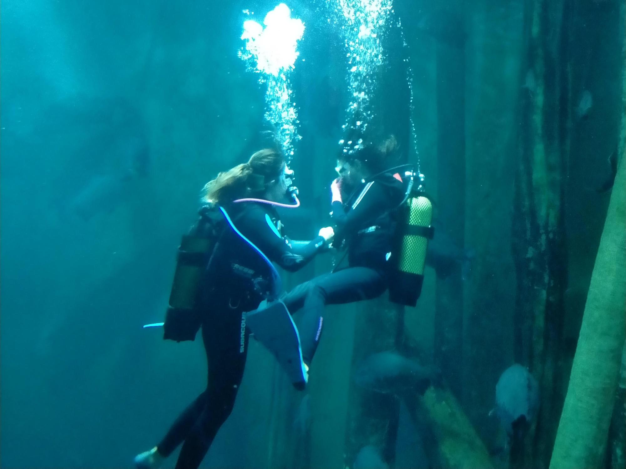 Los lectores de EL PERIÓDICO DE ARAGÓN podrán hacer bautismo de buceo y los más pequeños snorkel en el Acuario.