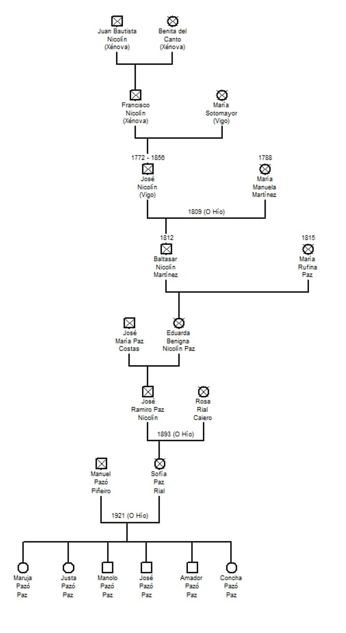 Árbore xenealóxica de José Nicolín.