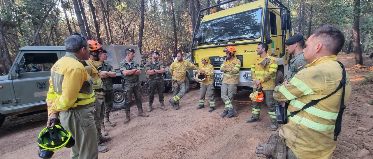 Efectivos del Infoex y de la Brigada Extremadura XI en una de las zonas en las que se han desplegado este verano.