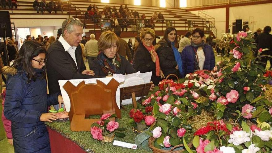 Numeroso público acudió ayer a ver las camelias en el pabellón de Domaio. // S.A.