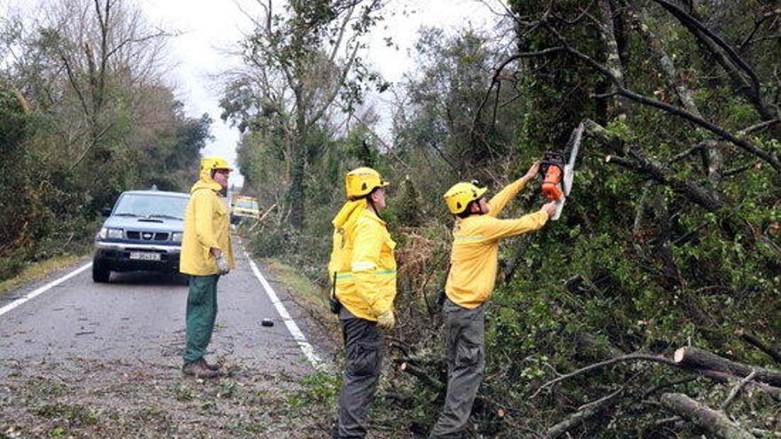 Membres d&#039;una ADF retirant branques del tornado de Cistella.