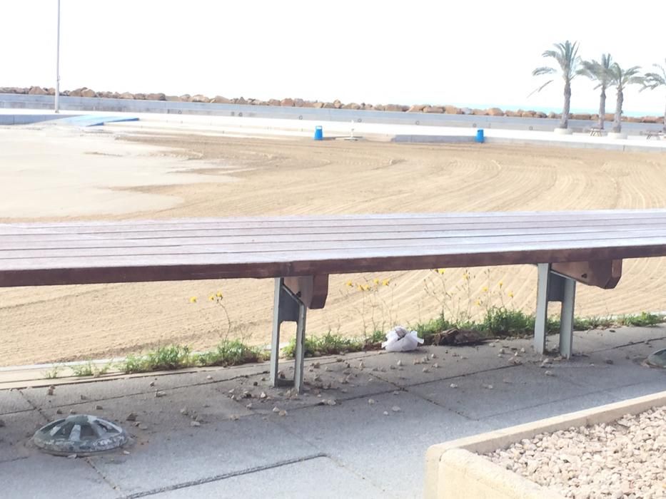 Deficiencias en paseos y parques Torrevieja