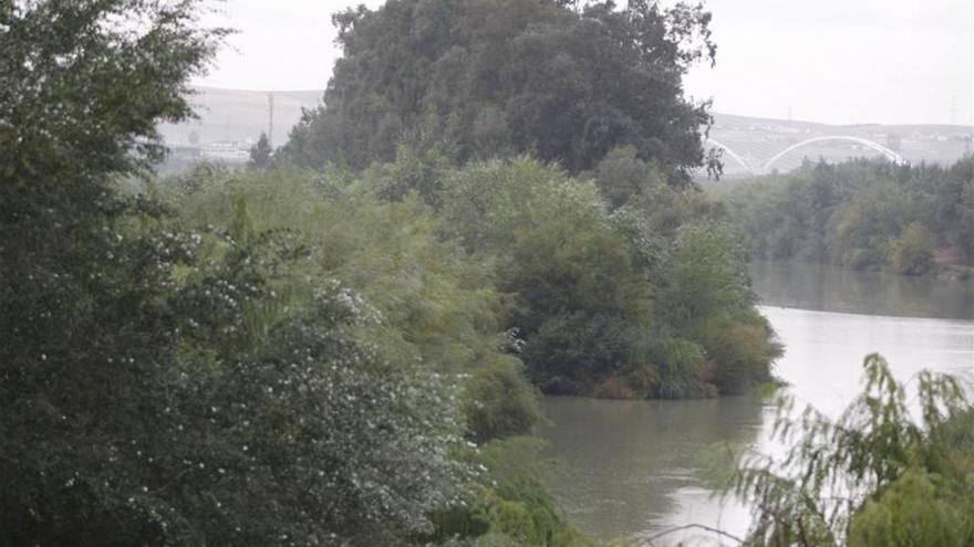 Un policía rescata a un hombre del río Guadalquivir