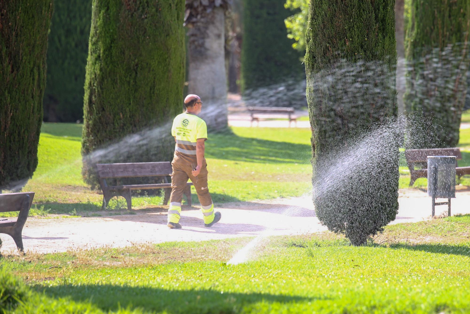 El declive del Parque Lo Morant