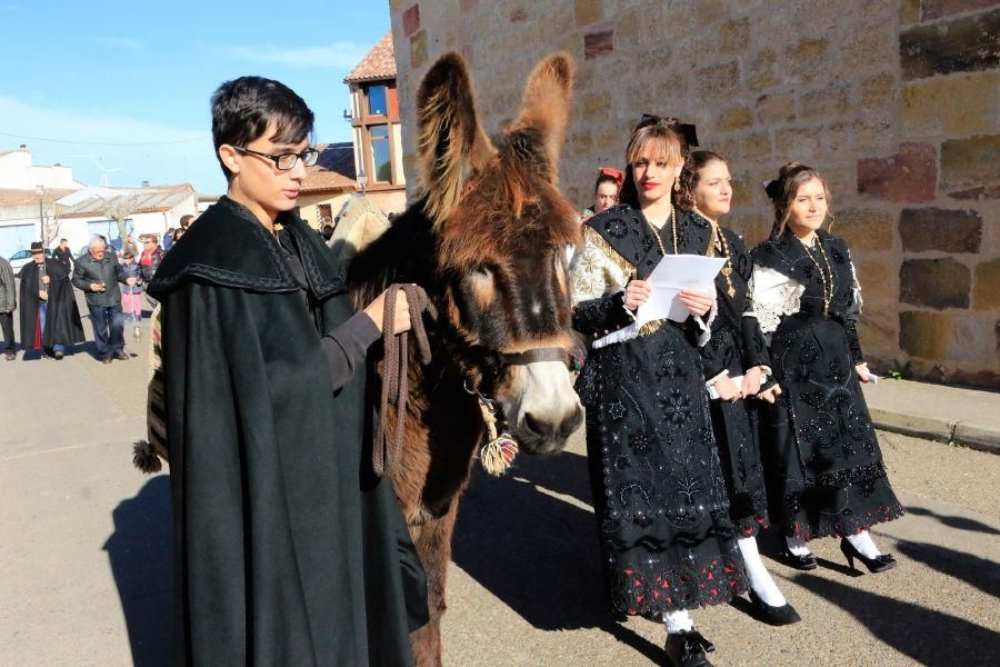 Monfarracinos celebra San Antón