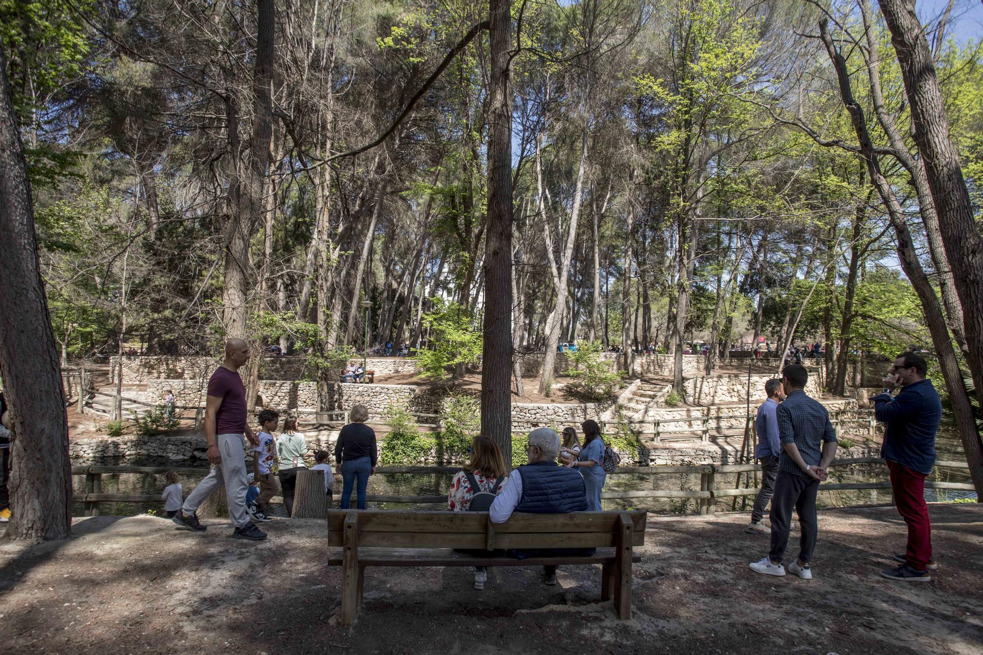 El Parc d San Vicent de Lliria vuelve a llenarse de familias dos años depués