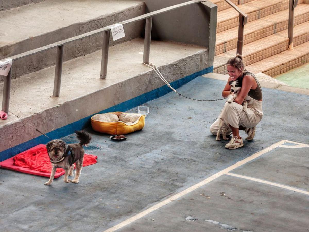 «Nos tienen ‘arrestados’ aquí porque hay humo en las casas»